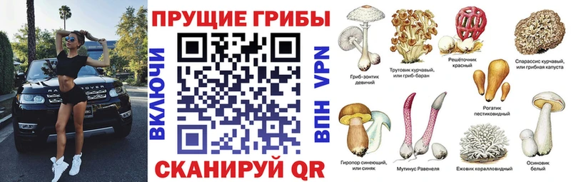 Псилоцибиновые грибы мухоморы  Горбатов 